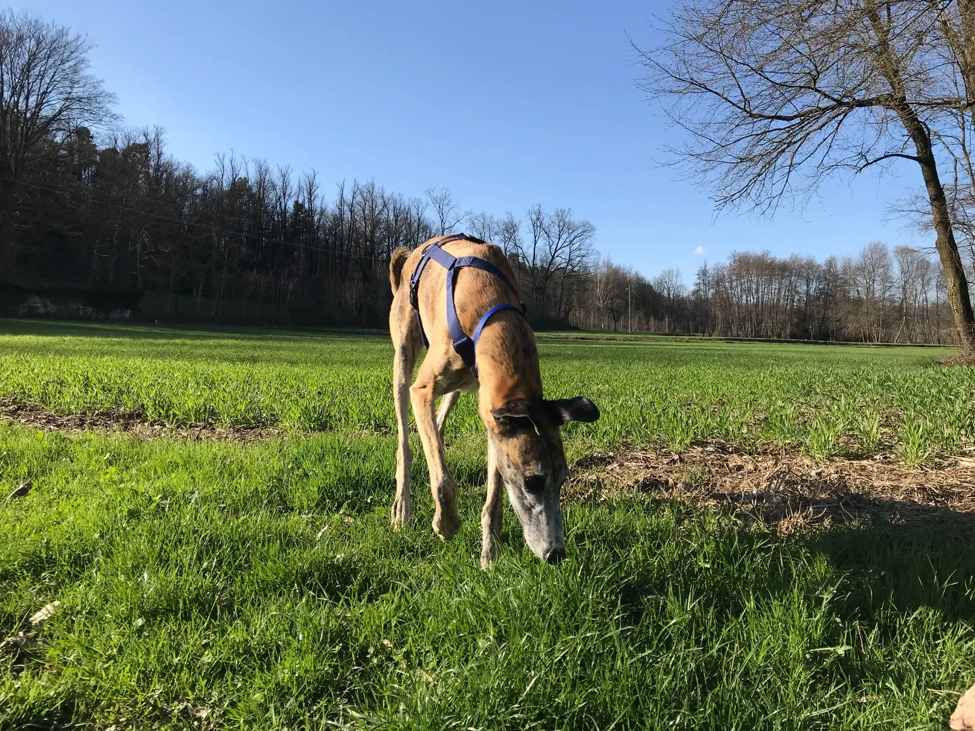 IMG 2492 10 04 18 15 29