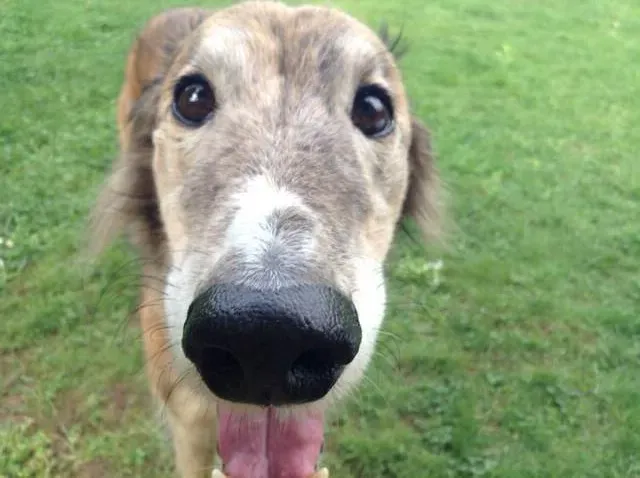 IMG 2982 e1416484416794