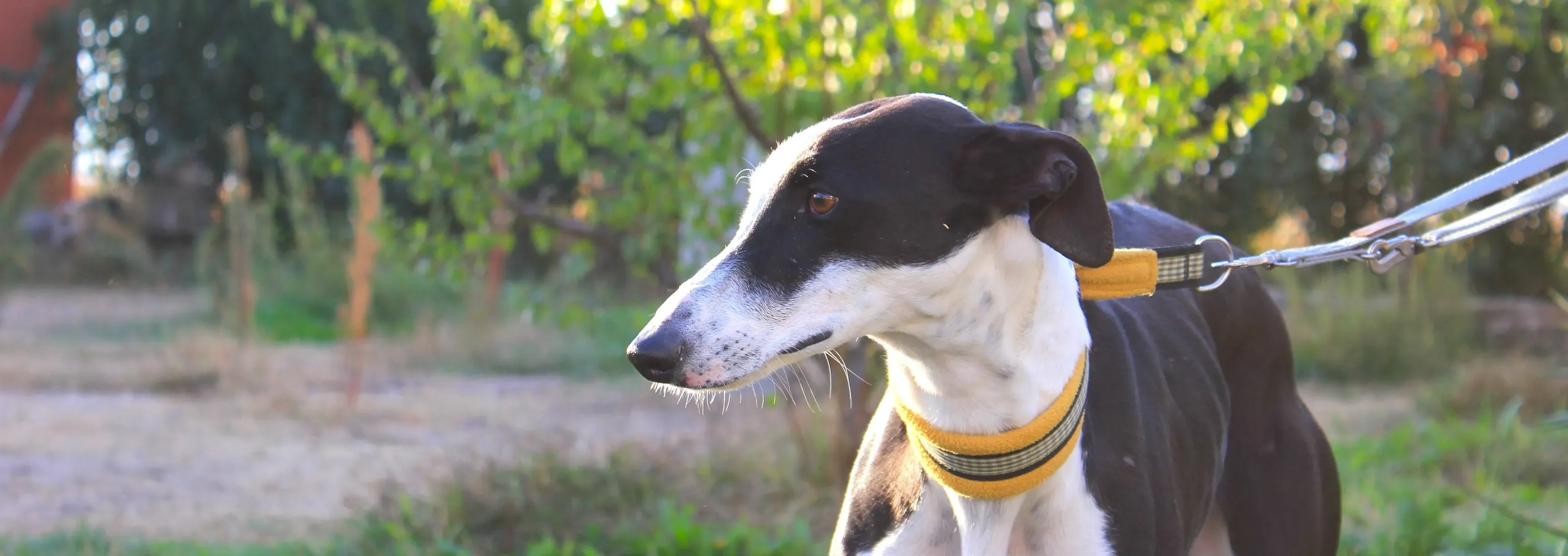 IMG 3281 e1540467737362