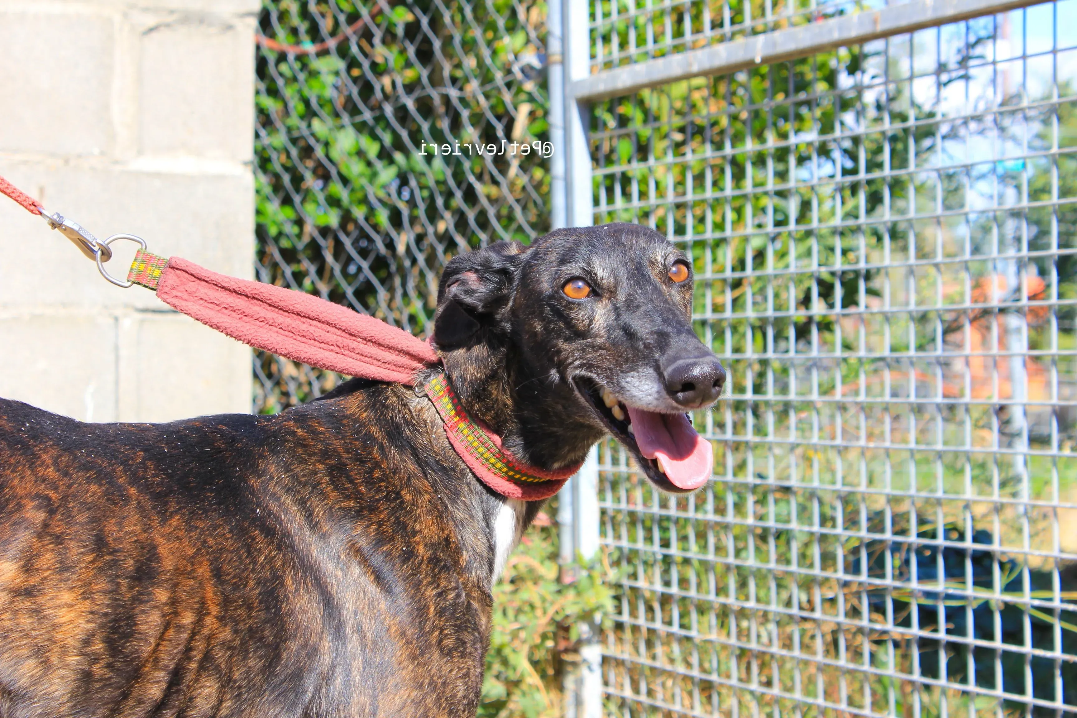 IMG 3598 e1542054667255