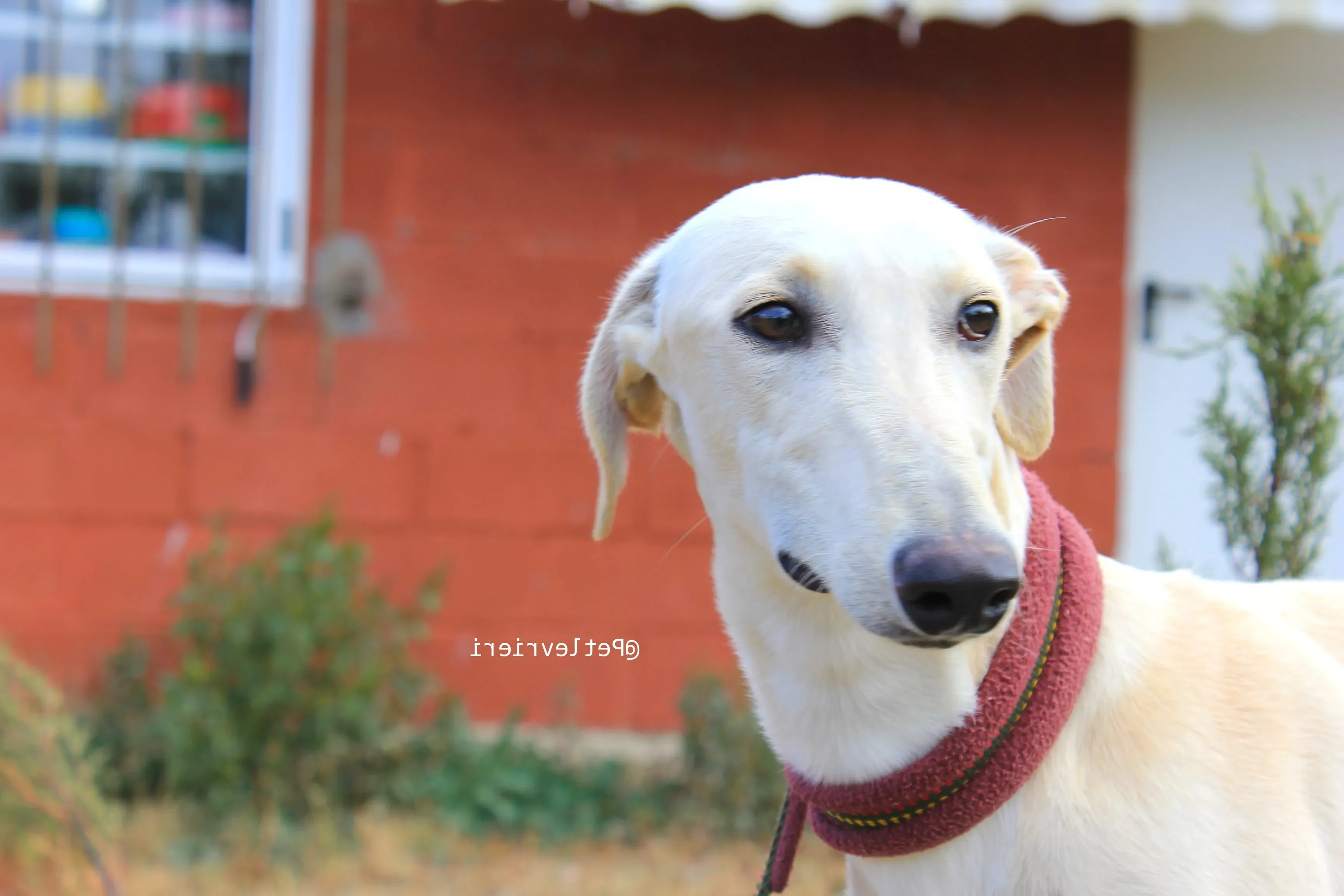 IMG 3634 e1544032633356