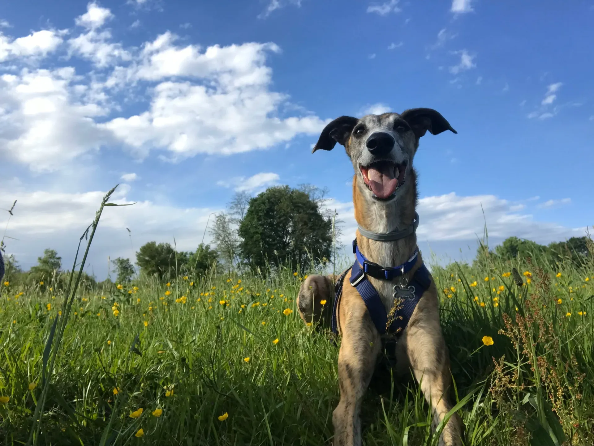 IMG 3677 09 11 19 14 32