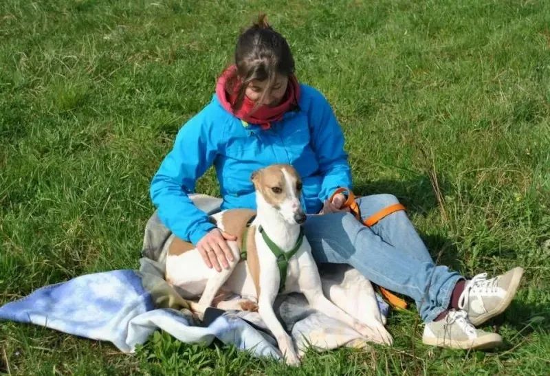 IMG 38000628552041 1