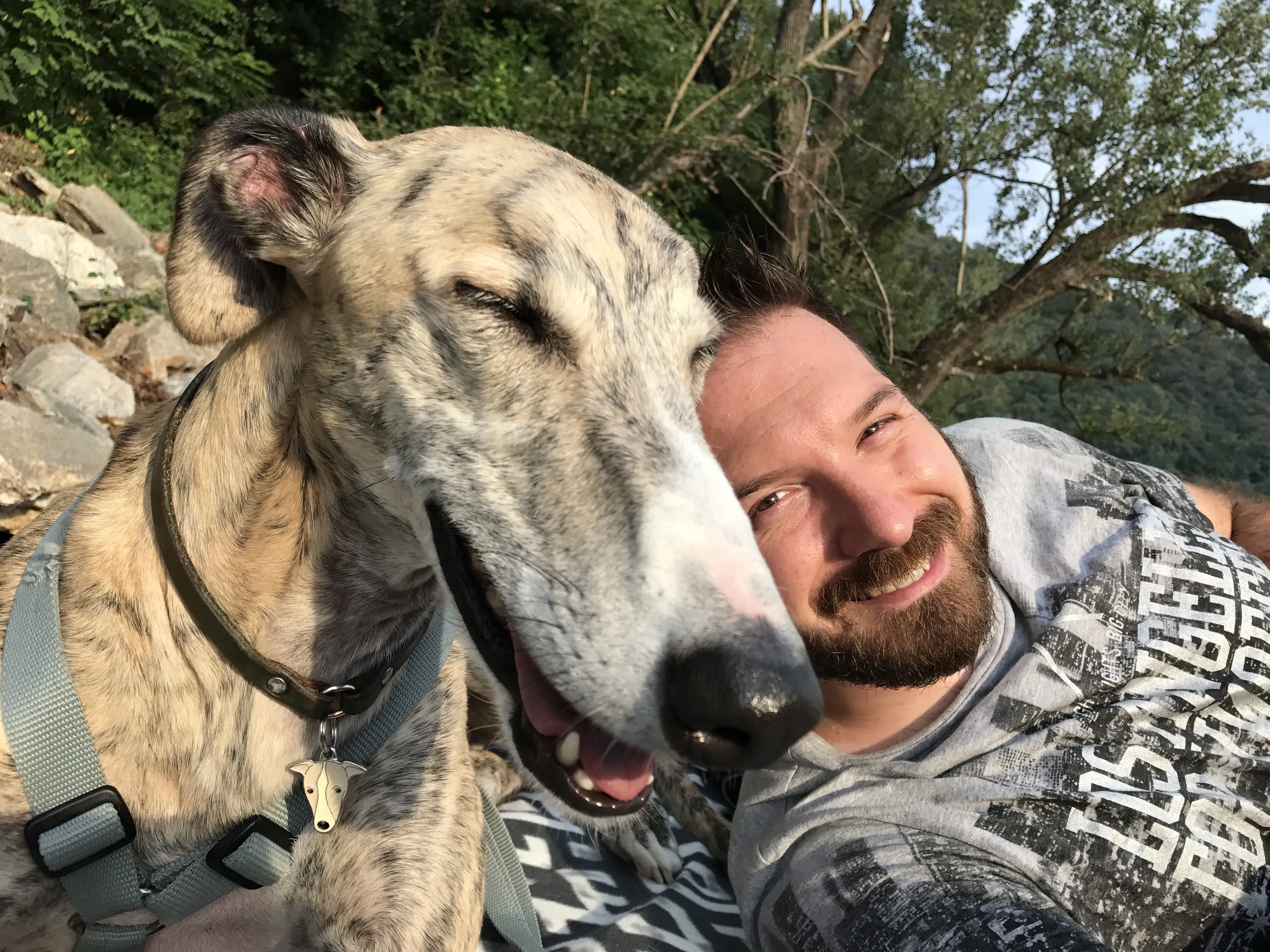 IMG 3933 06 08 18 21 58