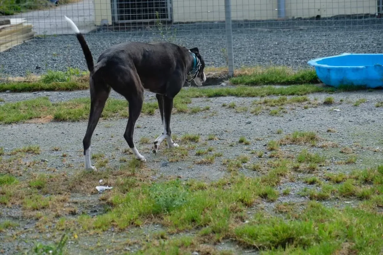 IMG 3985 24 07 19 18 26