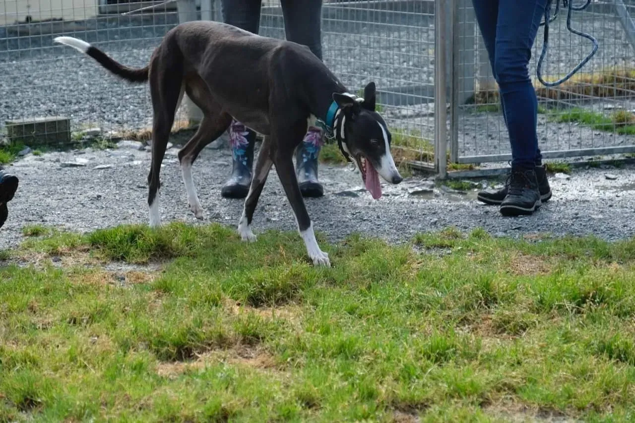 IMG 3986 24 07 19 18 26