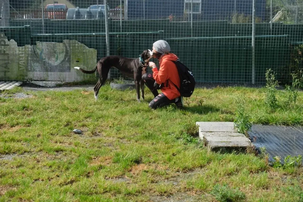 IMG 3987 24 07 19 18 26