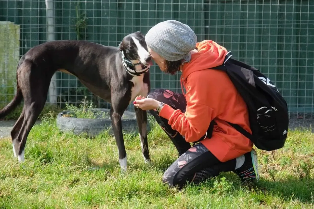 IMG 3988 24 07 19 18 26