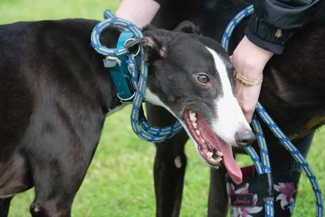 IMG 3989 24 07 19 18 26