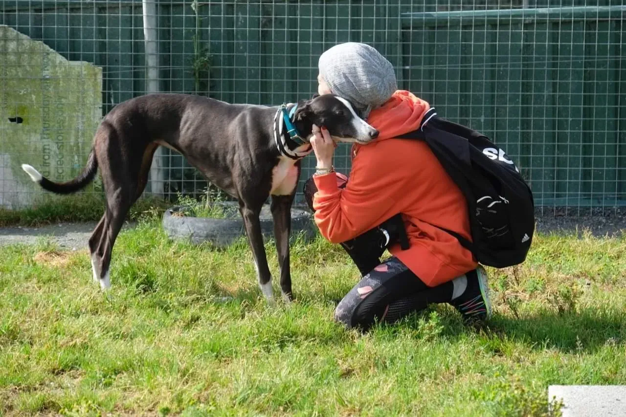 IMG 3990 24 07 19 18 26