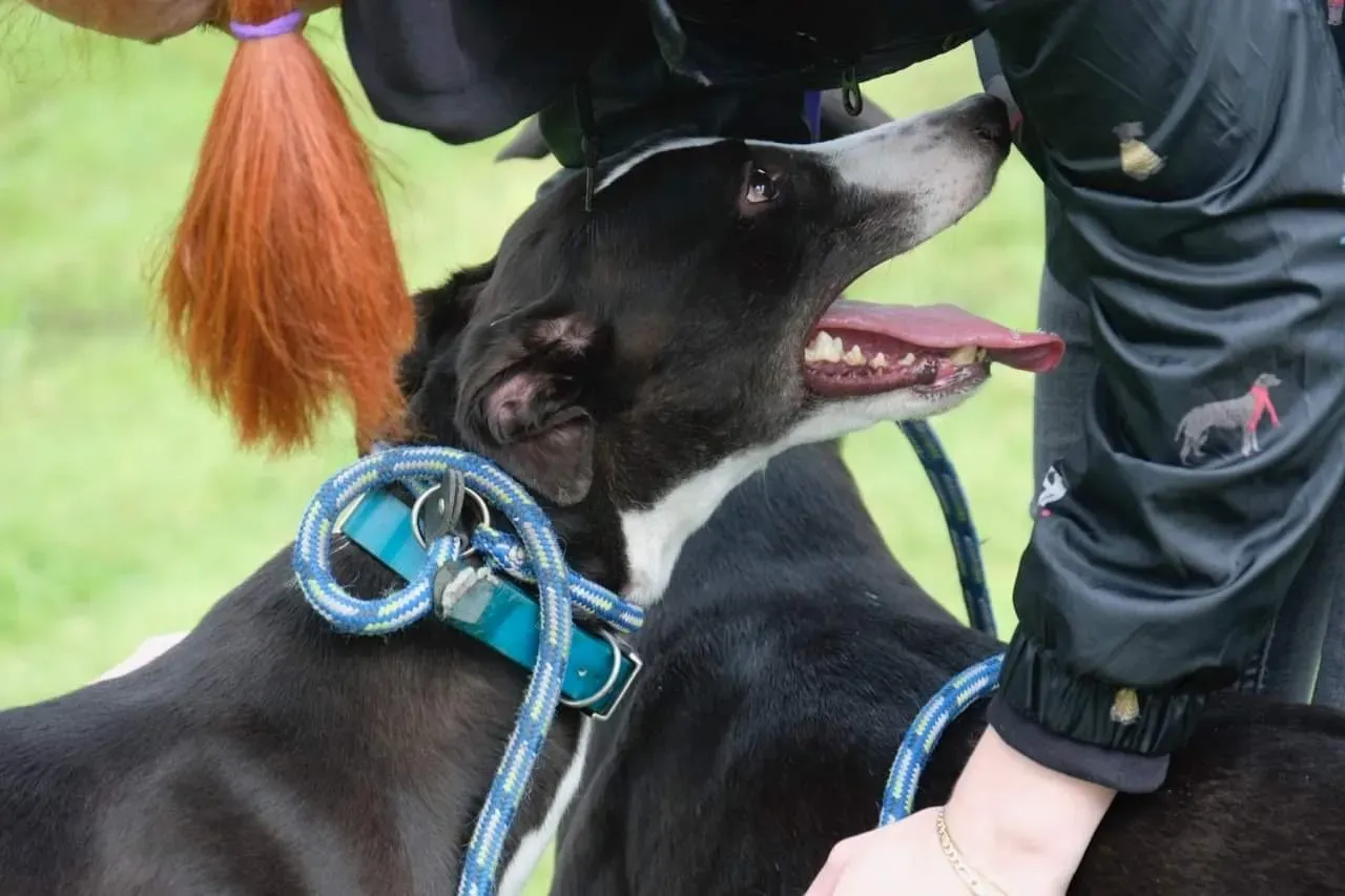 IMG 3991 24 07 19 18 26