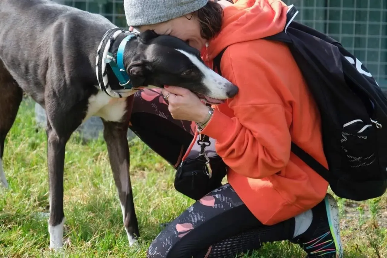 IMG 3992 24 07 19 18 26