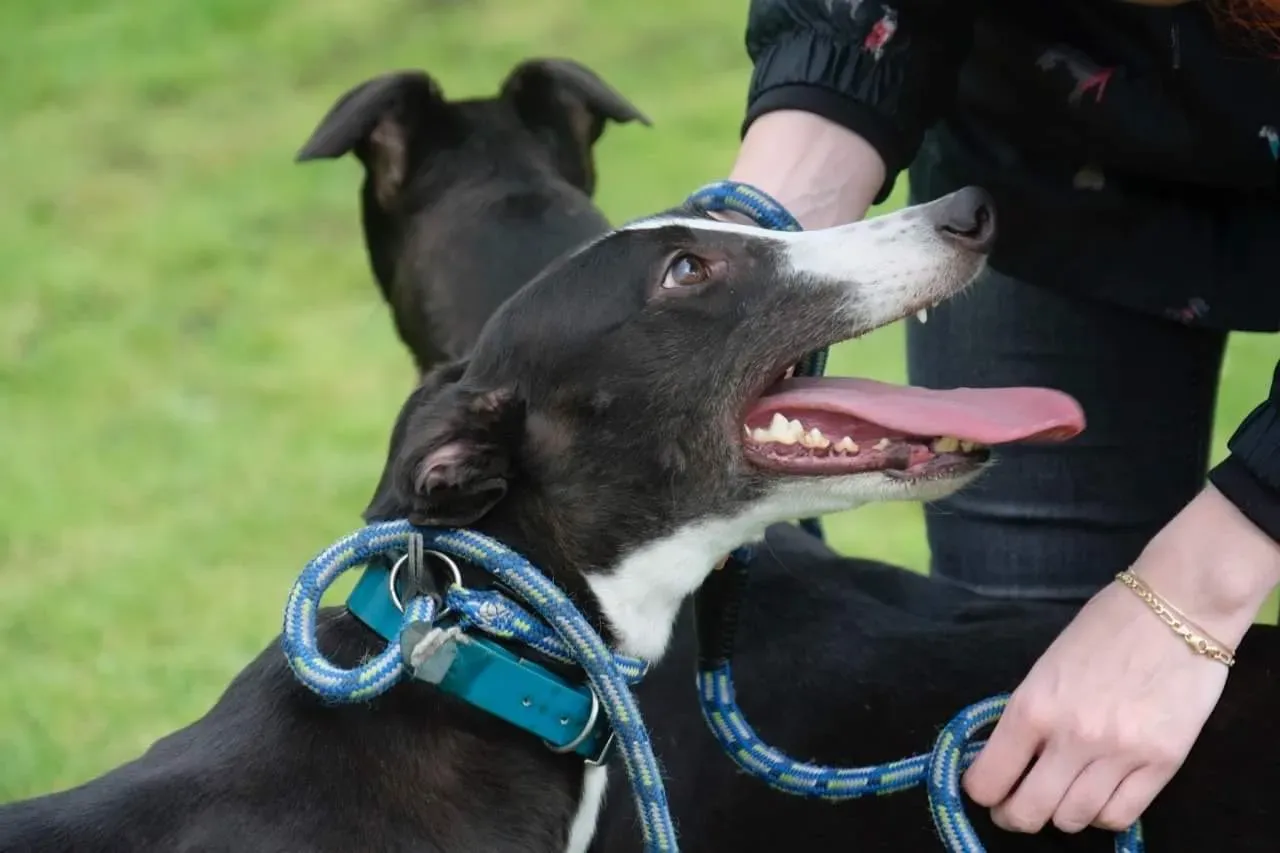 IMG 3993 24 07 19 18 26