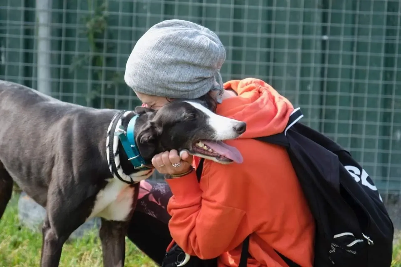 IMG 3994 24 07 19 18 26