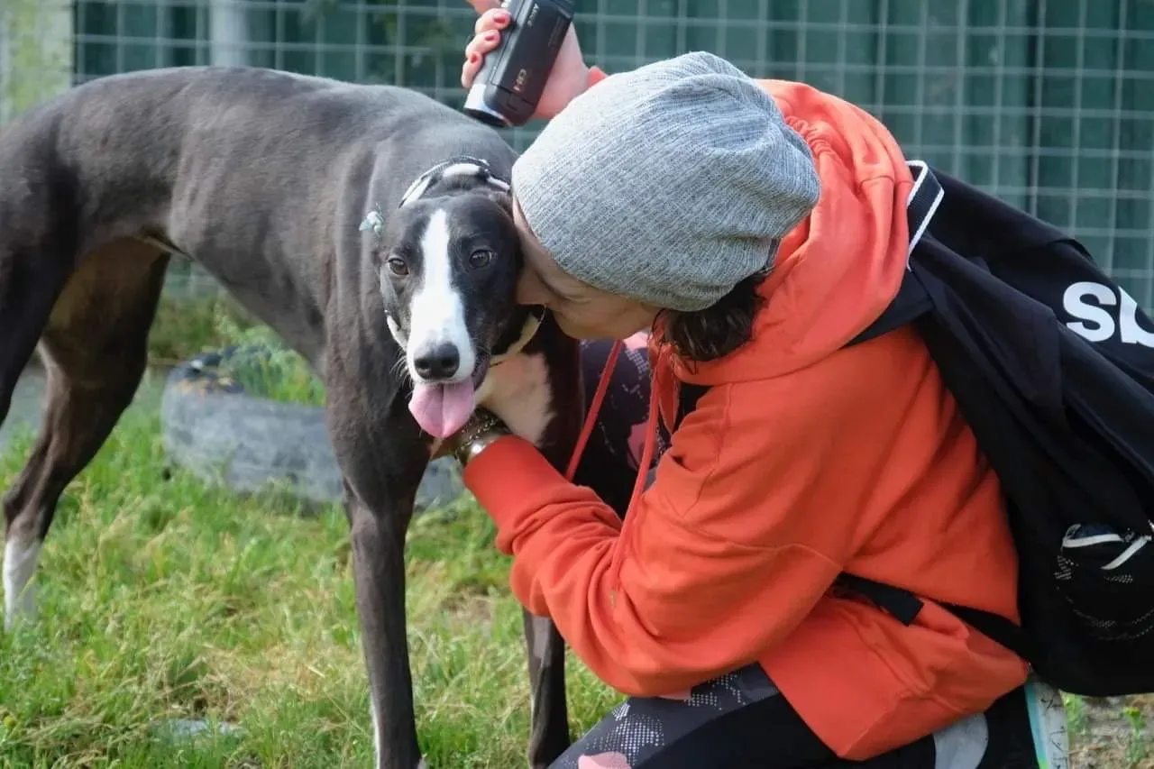 IMG 3998 24 07 19 18 26