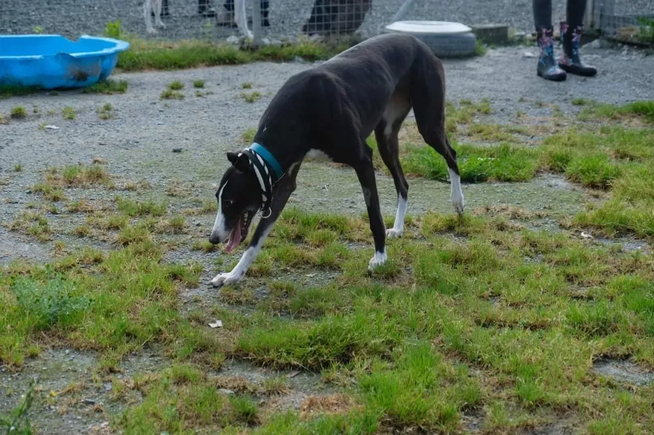 IMG 3999 24 07 19 18 26