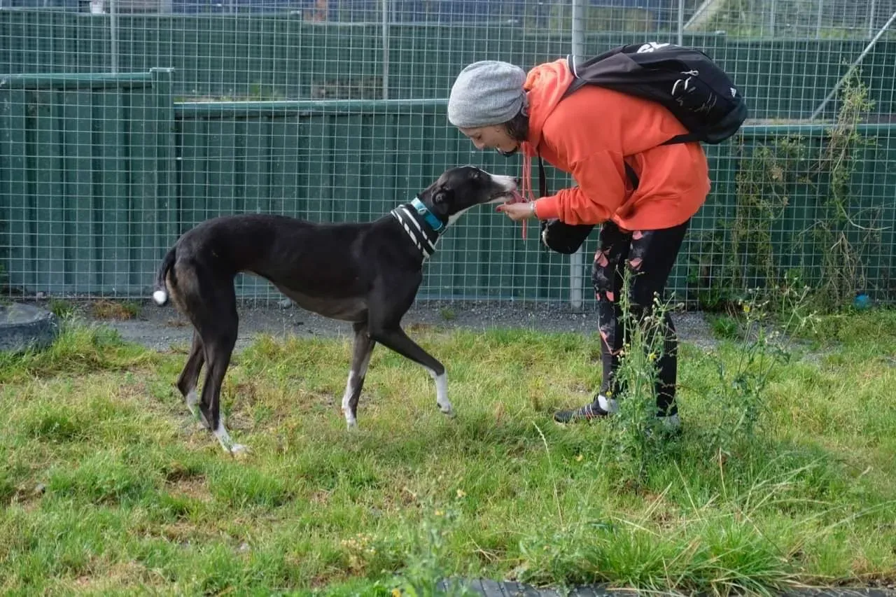 IMG 4001 24 07 19 18 26