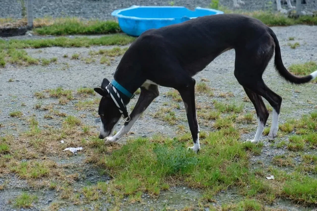 IMG 4002 24 07 19 18 26