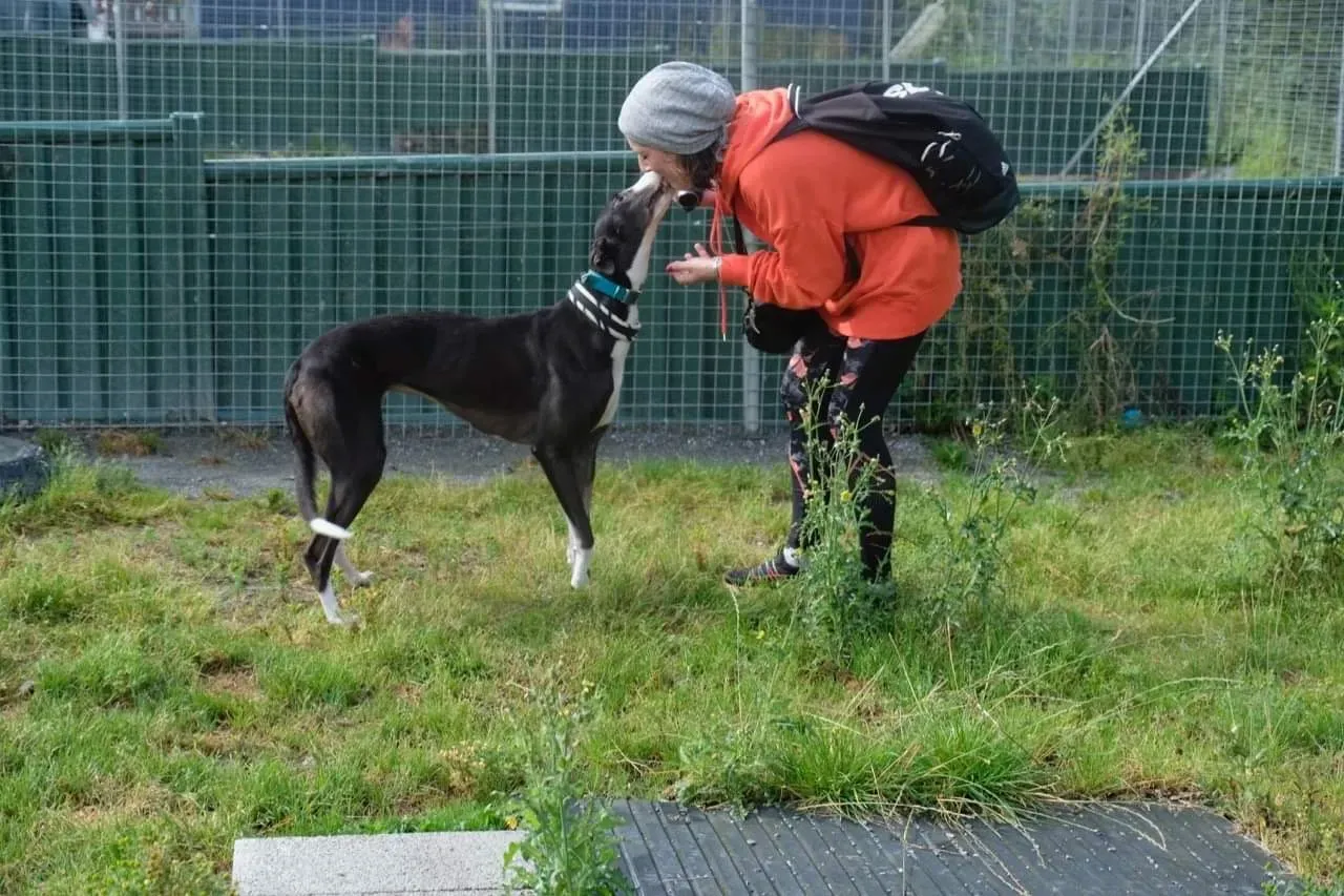 IMG 4003 24 07 19 18 26