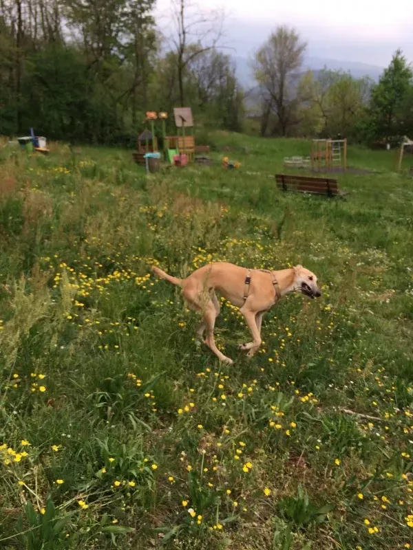 IMG 4035 e1430214061260