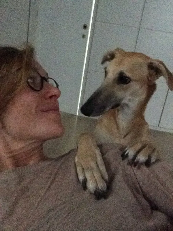 IMG 4036 e1430214086761