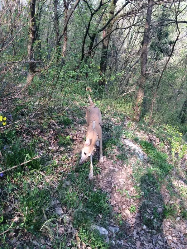 IMG 4037 e1430214125511