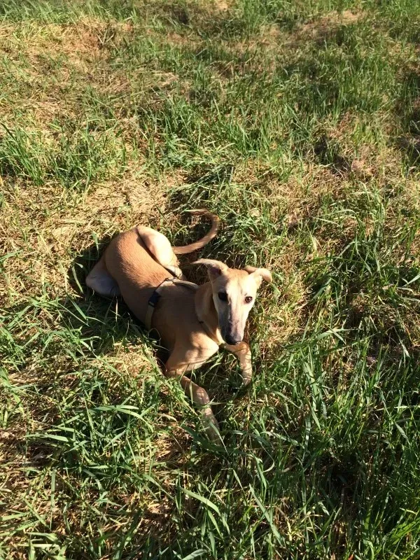 IMG 4038 e1430214144311