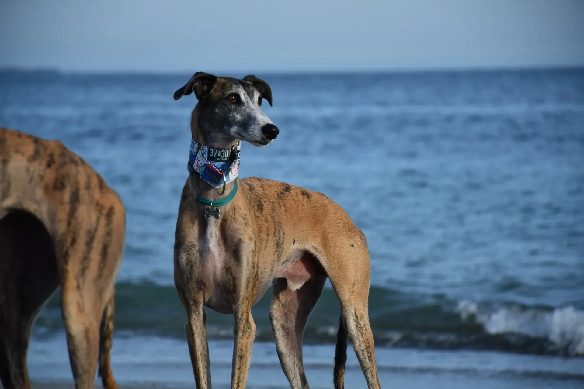 IMG 4716 09 11 19 14 32