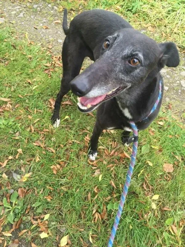 IMG 4722 e1436709035325