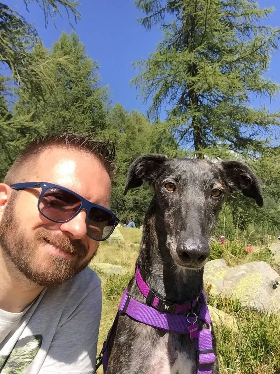 IMG 4790 07 08 18 22 54