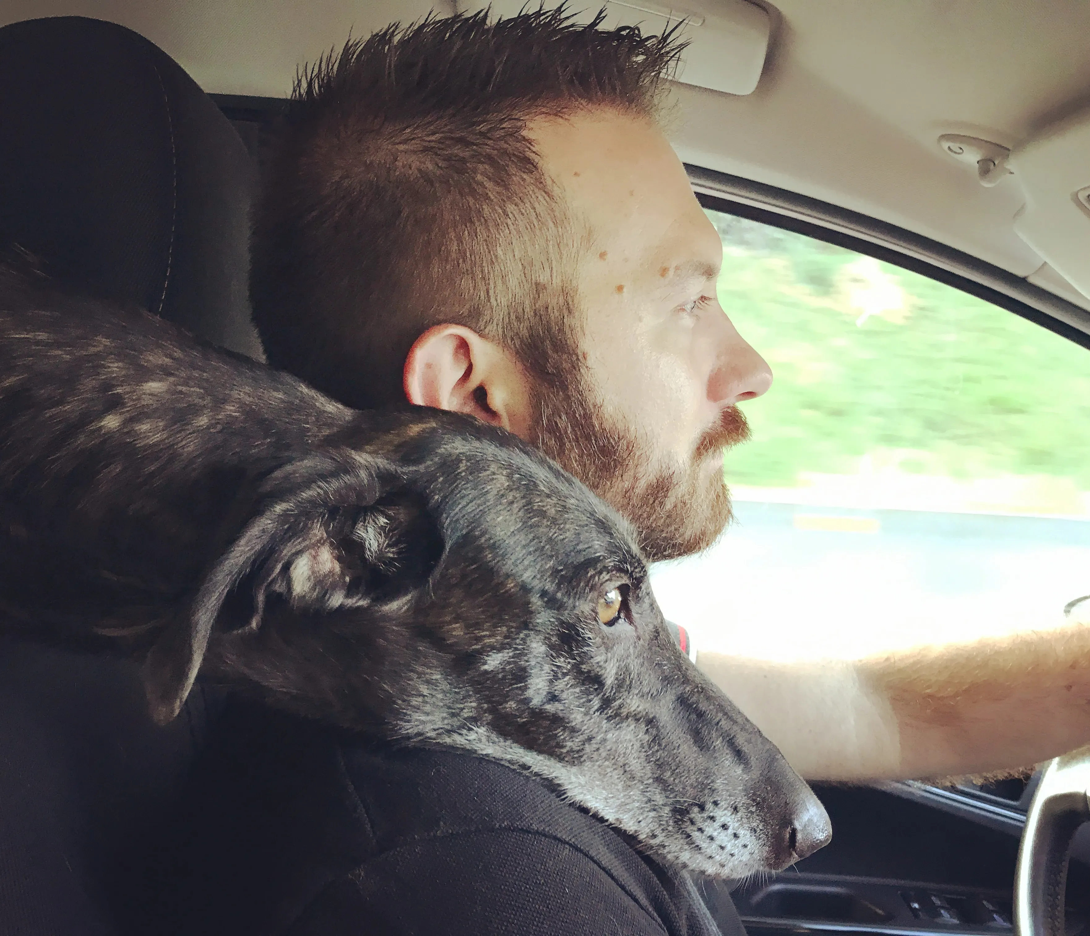 IMG 5348 07 08 18 22 54