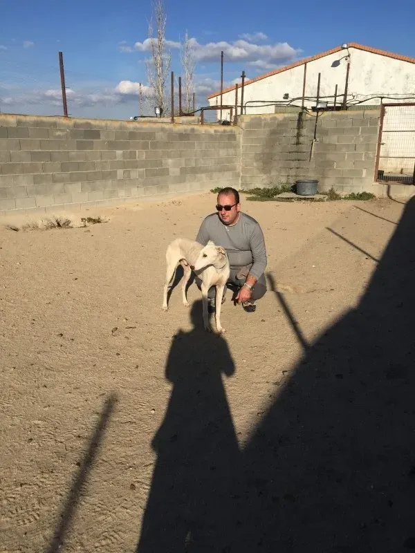 IMG 5580 e1446573799501