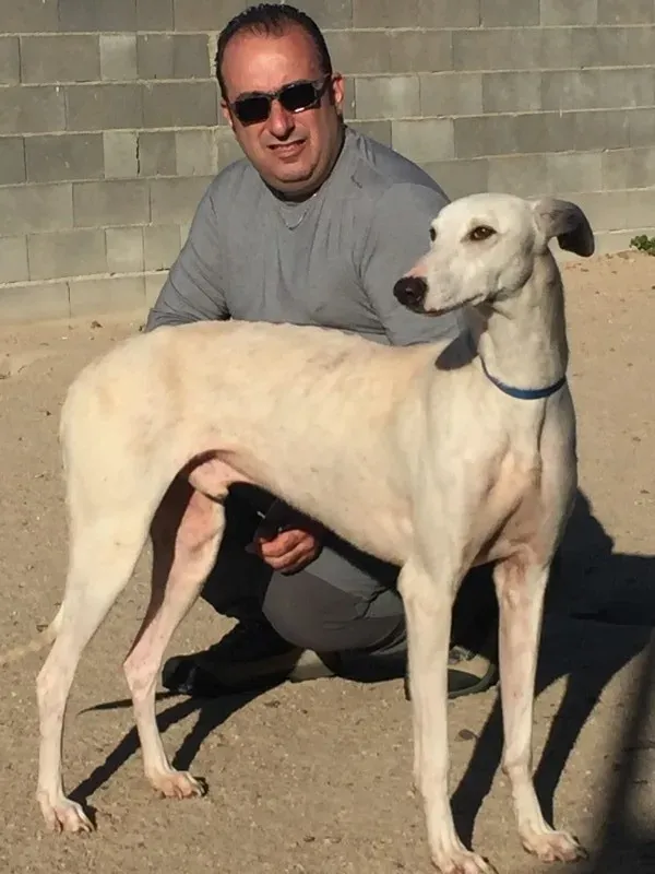 IMG 5581 e1446573756535