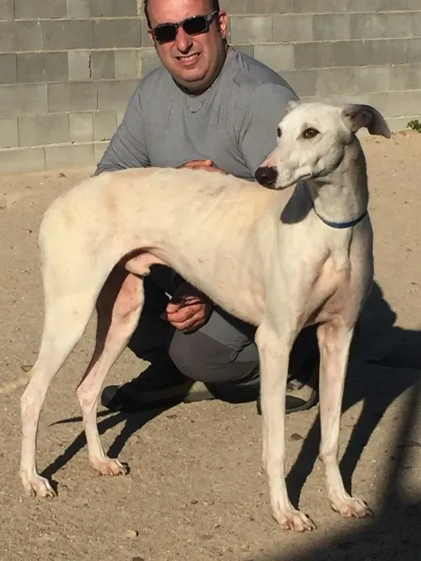 IMG 5582 e1446573740986