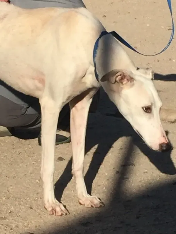 IMG 5583 e1446573819240