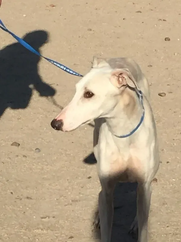 IMG 5585 e1446573848770