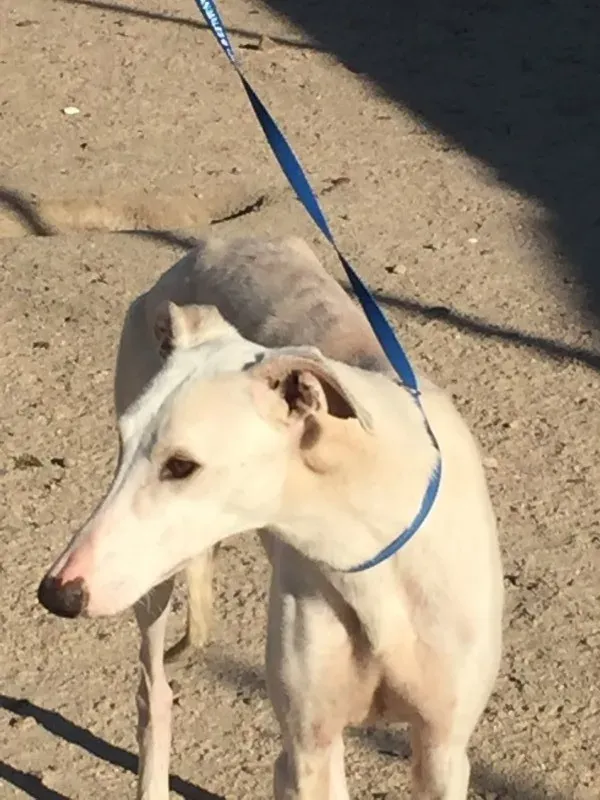 IMG 5586 e1446573865879