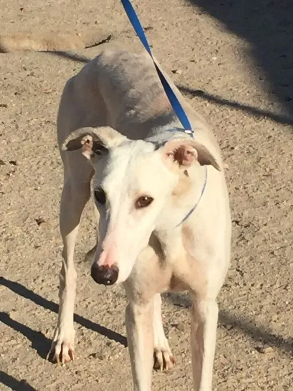 IMG 5587 e1446573886152