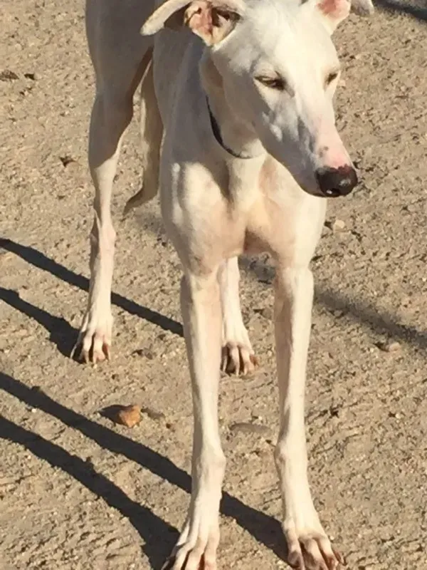 IMG 5588 e1446573905753