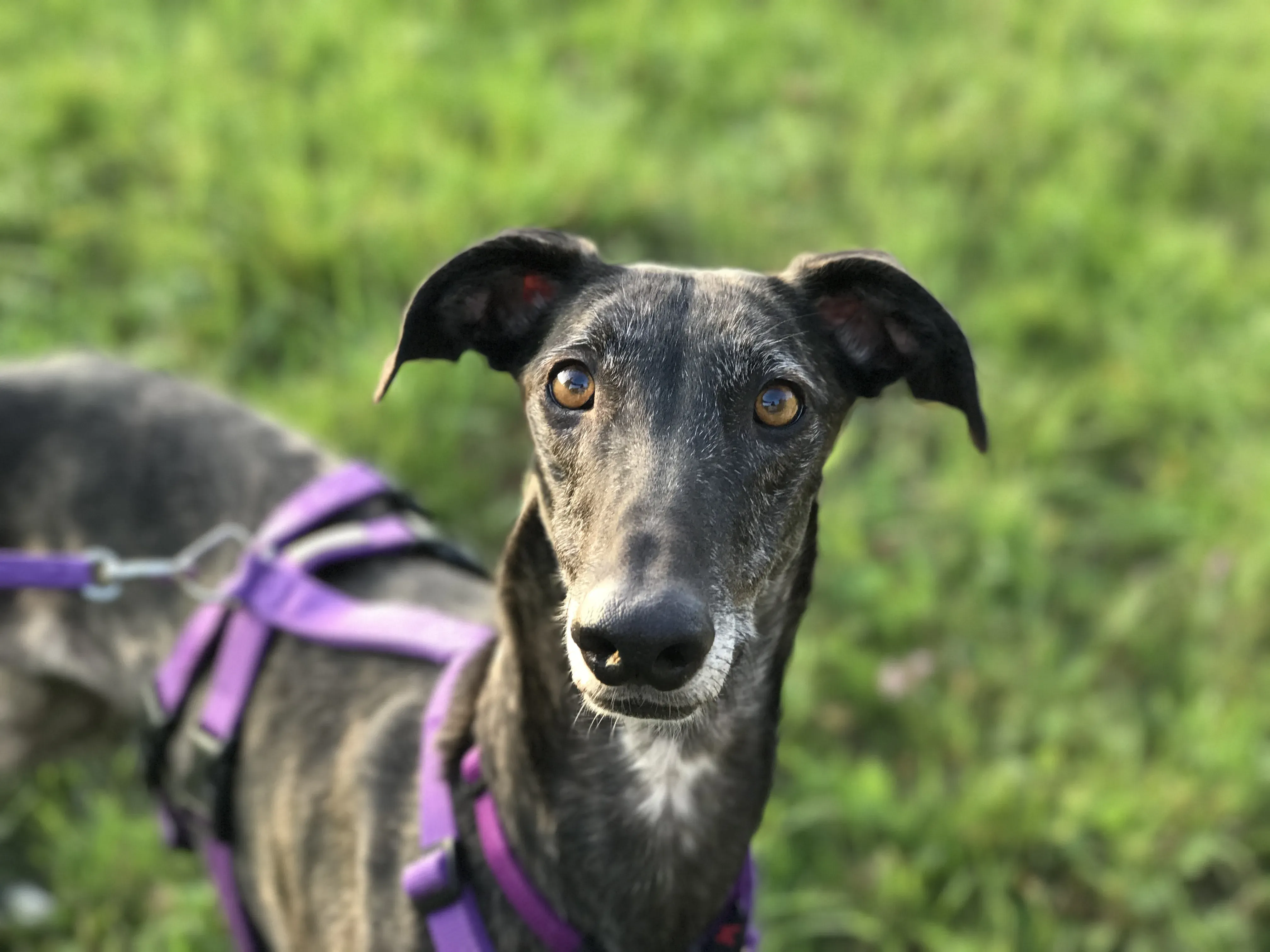 IMG 5612 07 08 18 22 54