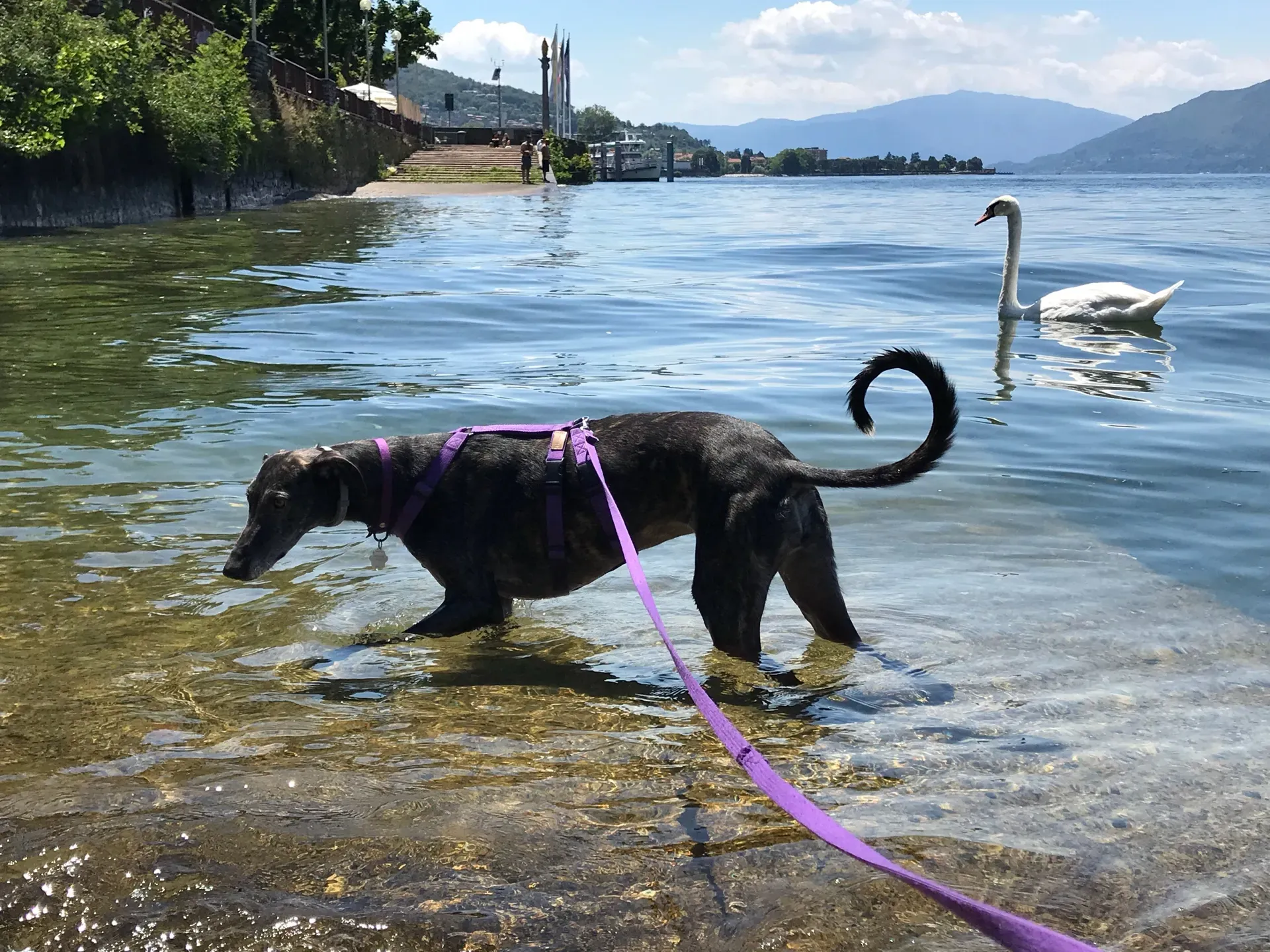 IMG 5614 06 08 18 21 50 1