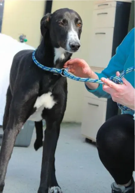 IMG 5865 e1444047821812