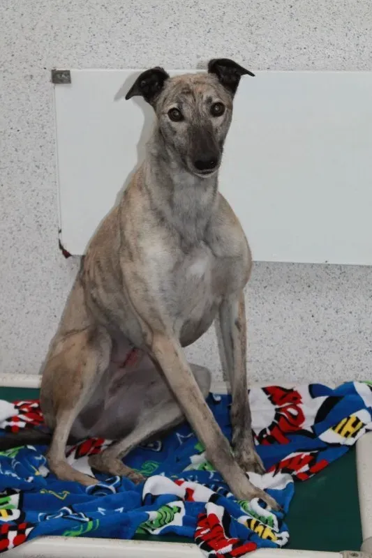 IMG 5925 e1443881231319