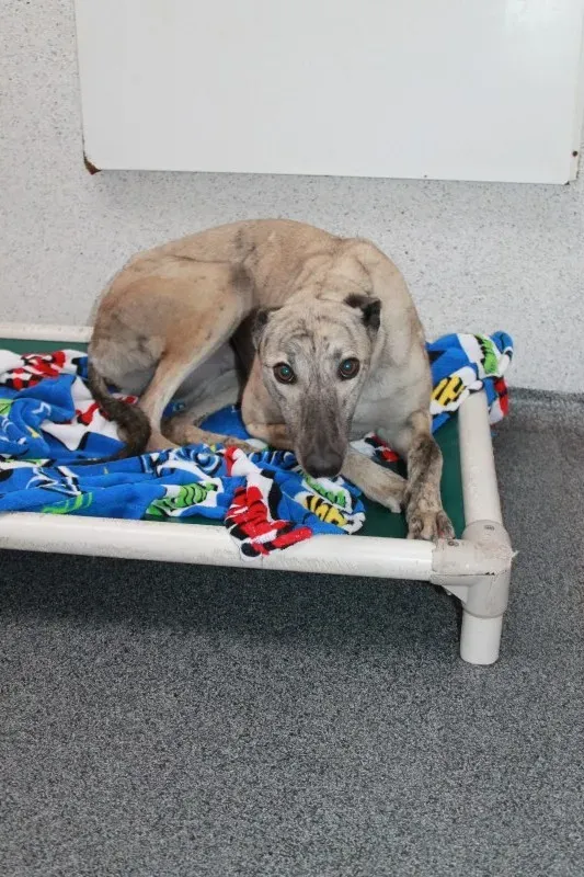 IMG 5928 e1443881215982