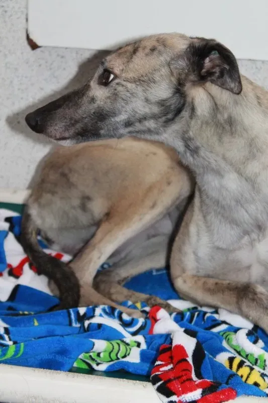 IMG 5929 e1443881201430