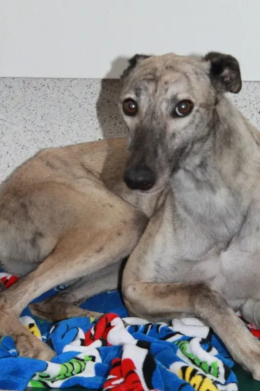 IMG 5932 e1443881188204