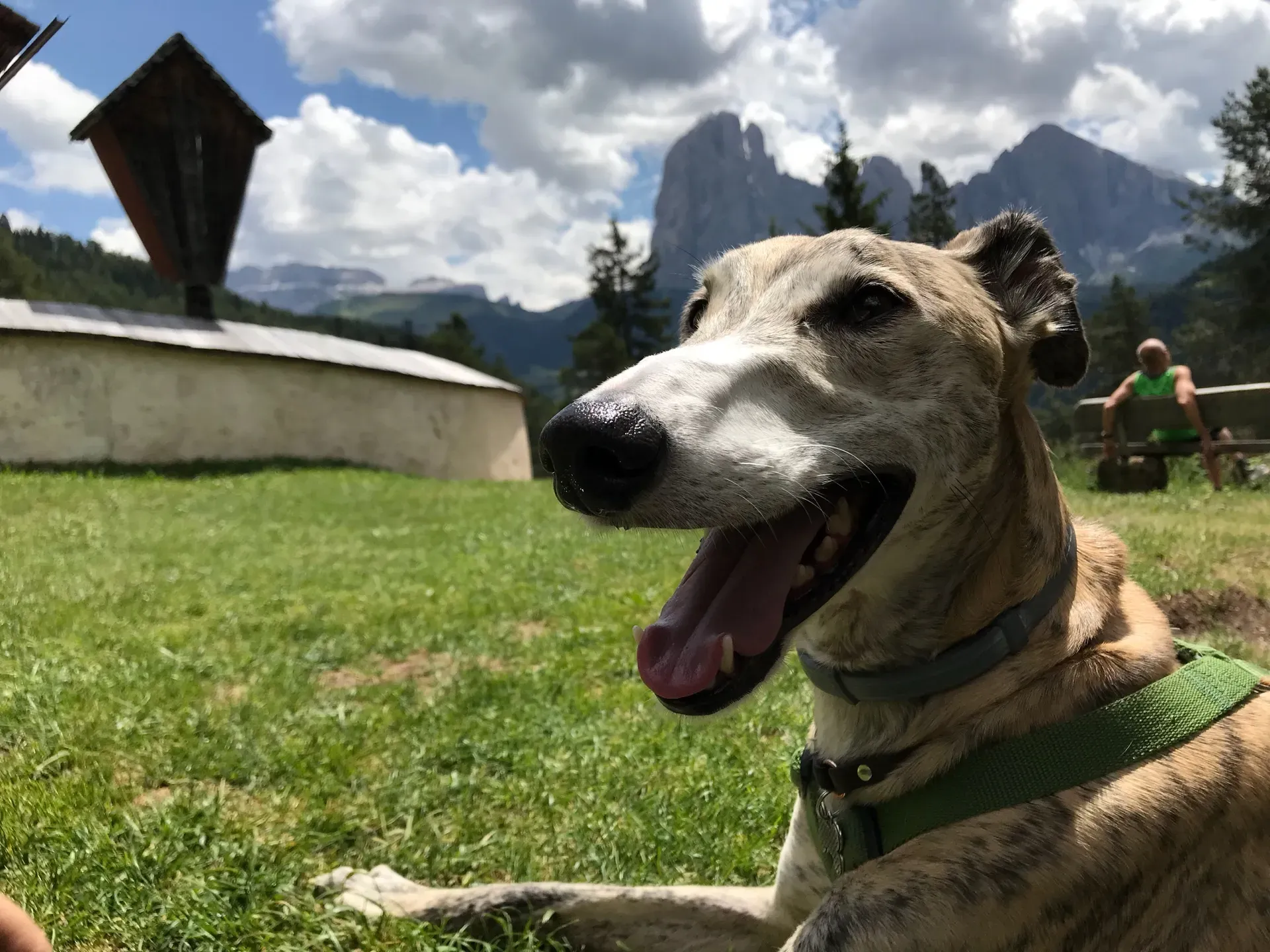 IMG 6301 06 08 18 21 44