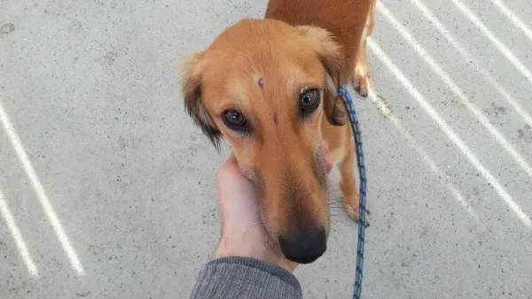 IMG 6621 e1457038493147