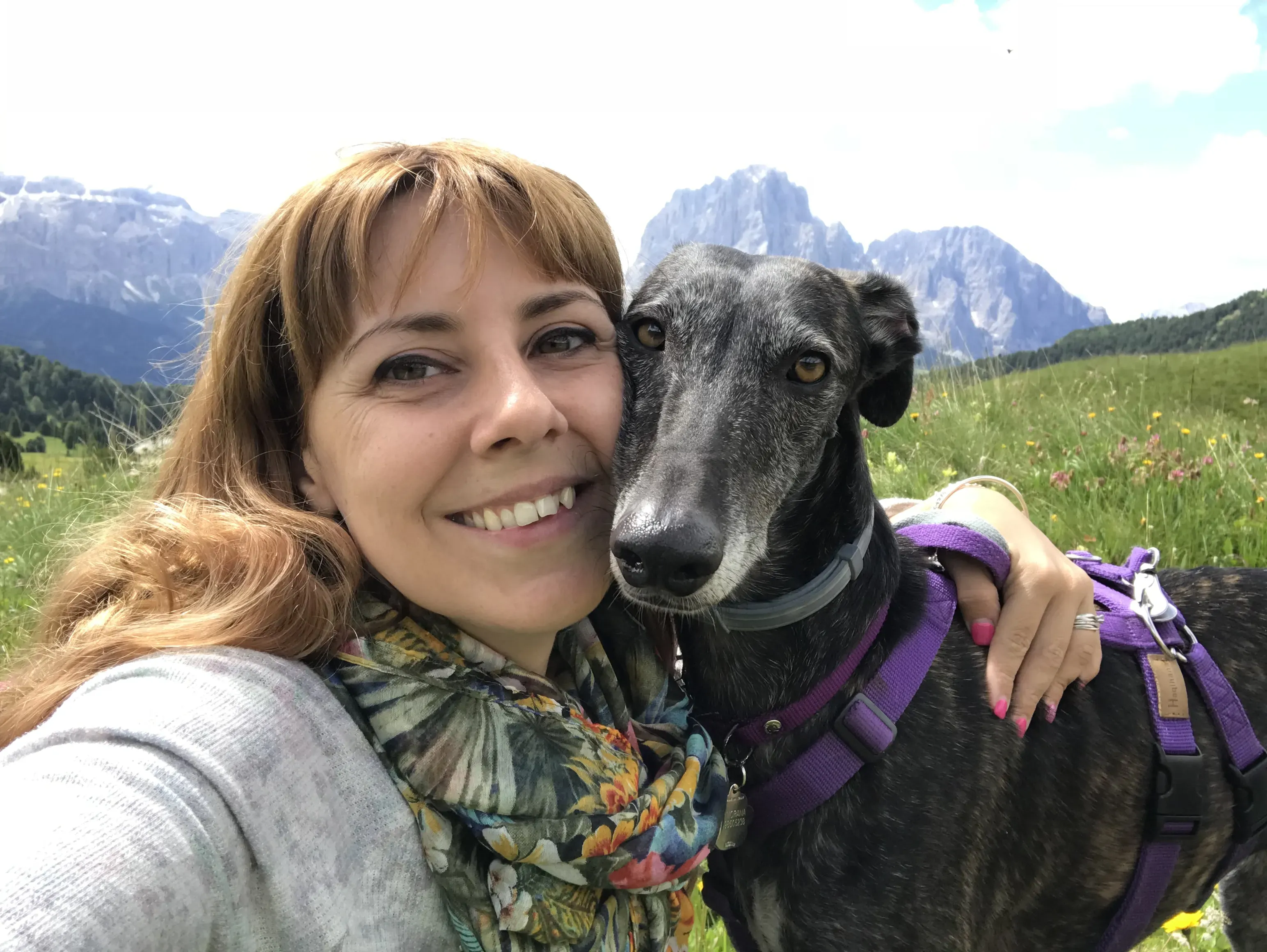 IMG 6656 07 08 18 22 54