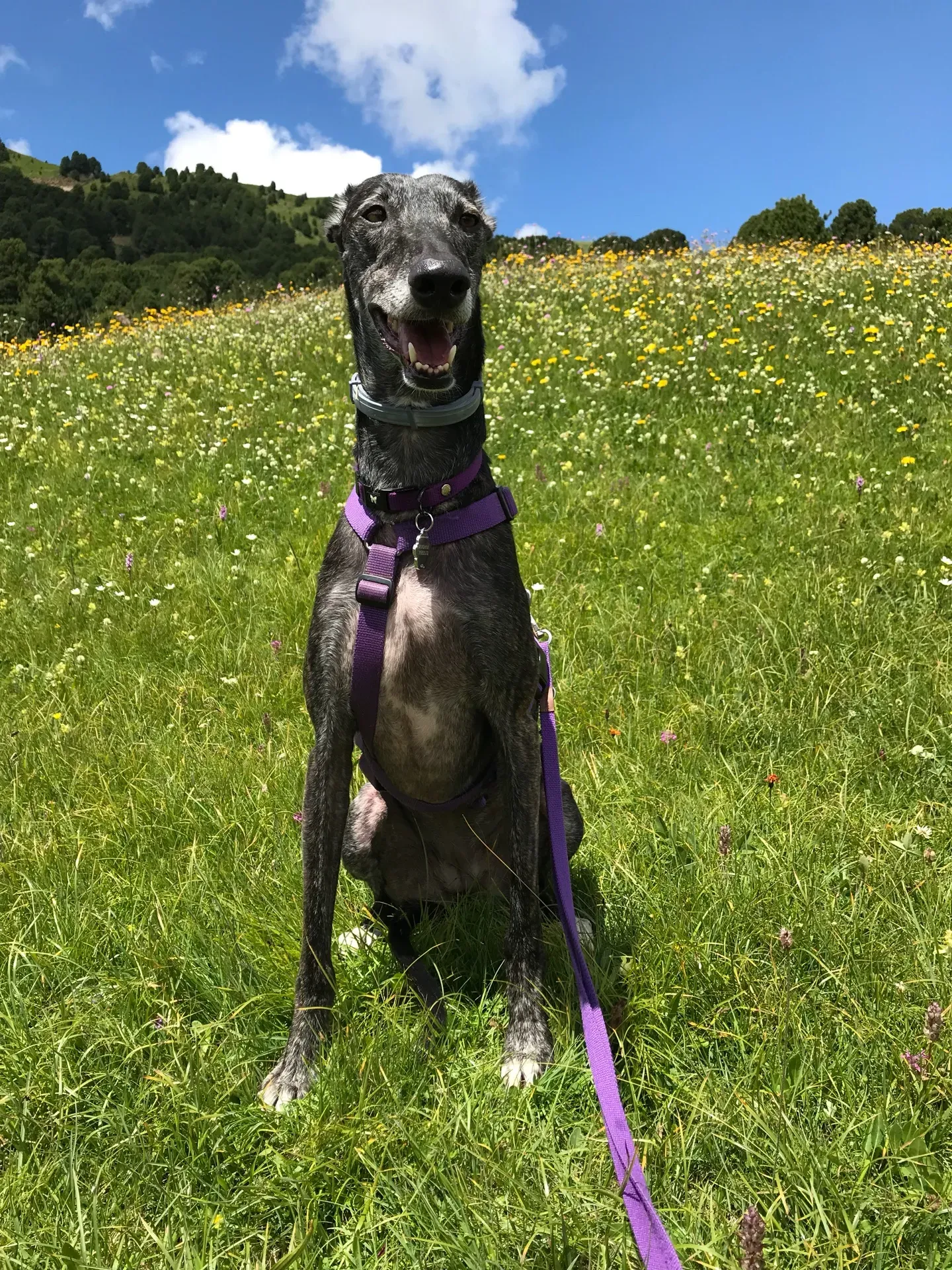 IMG 6712 06 08 18 21 50 1